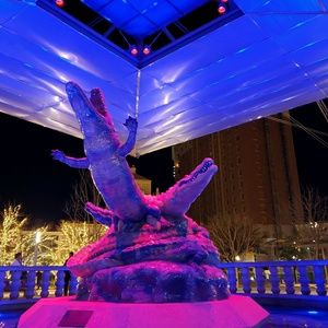 Meet your Posher, Gabriela